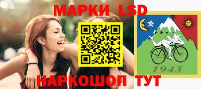 индика Вязьма