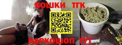 индика Вязьма