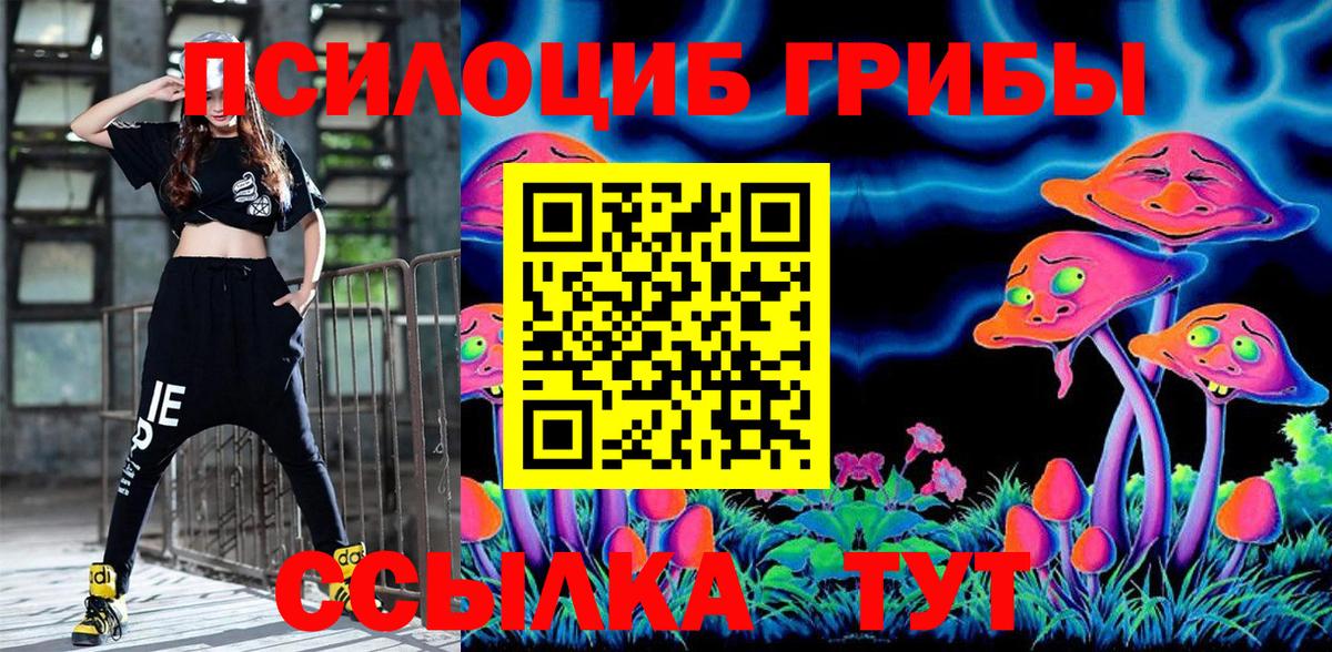 Галлюциногенные грибы Cubensis Богданович
