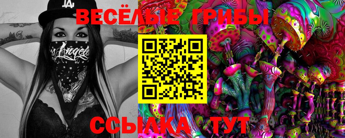 Богданович  купить  цена  Вход с VPN  Псилоцибиновые грибы Magic Shrooms 
